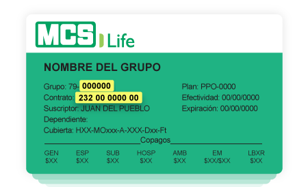 Carnet